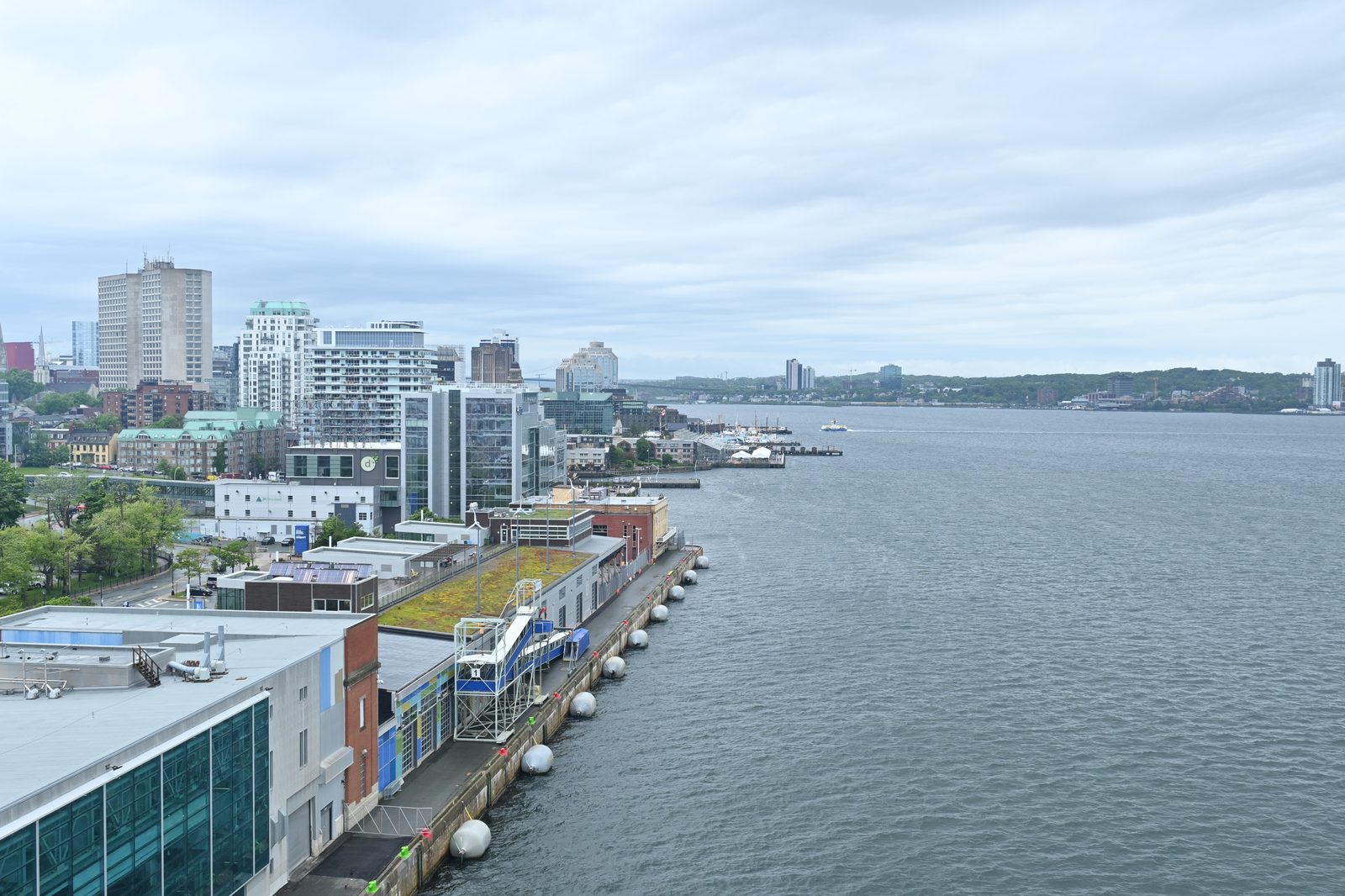 DSC_6365.JPG